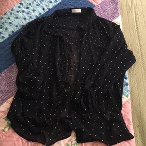 Sophie Rue sheer Marcelle button up blouse